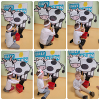 Jedna dziewczynka i pięć chłopców ubrani na biało siedzą na podłodze i bawią się w dojenie krowy. Krowa wykonana z dużego kartonu. W tle tablica z napisem 