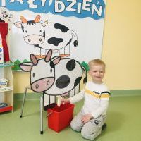 Chłopiec ubrany na biało siedzi na podłodze i bawi się w dojenie krowy. Krowa wykonana z dużego kartonu. W tle tablica z napisem 