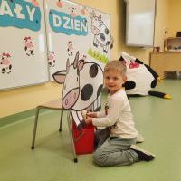 Chłopiec siedzi na podłodze i bawi się w dojenie krowy. Krowa wykonana z dużego kartonu. W tle tablica magnetyczna z napisem Biały Dzień i sylwetami krówek.