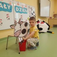 Chłopiec siedzi na podłodze i bawi się w dojenie krowy. Krowa wykonana z dużego kartonu. W tle tablica magnetyczna z napisem Biały Dzień i sylwetami krówek.