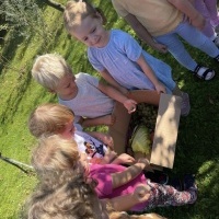 Grupa dzieci w ogrodzie warzywnym, czwórka dzieci trzyma wspólnie pudełko z warzywami.
