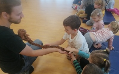 Grupka dzieci ogląda gady. Chłopiec dotyka węża. 