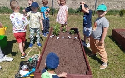 Dzieci stoją wokół ogródka przedszkolnego po zasadzeniu roślin.