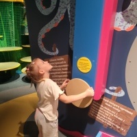 Dziewczynka bawi się w układanie toru. W tle kolorowe zwierzęta morskie.
