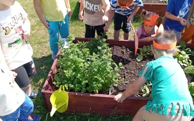 Dzieci porządkują ogródek przedszkolny i podziwiają zbiory.